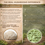 Lion's Mane Capsules Manufacturer - Private Label Organic Mushroom for Energy