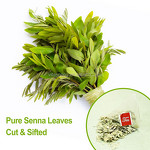 Senna Tea Bags Manufacturer - 100% Natural for Colon Cleanse & Slimming
