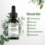 Eucalyptus Oil Manufacturer - 100% Pure Organic Aromatherapy Massage Hair Skin Hot Sale