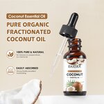 Coconut Oil Manufacturer - 30ml Natural Pure Massage Aromatherapy Hair Skin Hot Sale