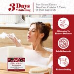 Alpha Arbutin Soap Manufacturer - Whitening Cleaning Handmade Bath Face Body Bulk Wholesale