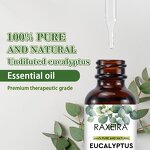 Eucalyptus Oil Manufacturer - 100% Pure Organic Aromatherapy Massage Hair Skin Hot Sale