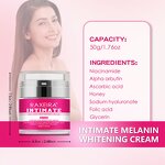 Body Cream Manufacturer - Niacinamide Arbutin Intimate Melanin Pigmentation Remover Factory