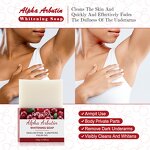 Alpha Arbutin Soap Manufacturer - Whitening Cleaning Handmade Bath Face Body Bulk Wholesale