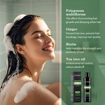 Hair Shampoo Manufacturer - Ginger Tea Tree Biotin Scalp Growth Moisturizing Factory