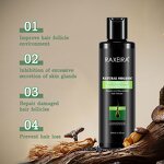 Hair Shampoo Manufacturer - Ginger Tea Tree Biotin Scalp Growth Moisturizing Factory