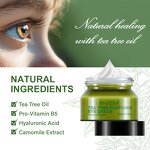 Eye Cream Manufacturer - Tea Tree Dark Circles Wrinkle Fine Line Puffiness Vegan Women