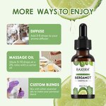 Bergamot Oil Manufacturer - 100% Pure Plant Aromatherapy Massage Hair Skin & OEM Factory