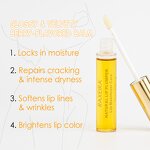 Lip Plumper Manufacturer - Ginger Mint Essence Lightening Exfoliating Gloss Serum & Custom Logo Factory Price