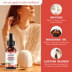 Grapefruit Oil Manufacturer - Pure Organic Skincare Beauty Fruit Body Aromatherapy Bulk