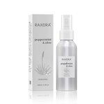 Room Spray Manufacturer - Aloe Fragrance Jojoba Peppermint Eco-Friendly Bulk Pillow Linen