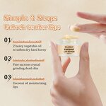 Lip Scrub Manufacturer - Coconut Oil Brightening Exfoliating Peeling Custom