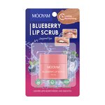 Blueberry Lip Scrub Manufacturer - Moisturizing Gentle Dead Skin Remove Brightens Lip Balm