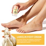 Hand Foot Cream Manufacturer - Lanolin Wool Extract Natural Oil Long Lasting Moisture