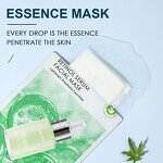 Essence Mask Manufacturer - 24K Gold Snail Retinol Hyaluronic Acid Collagen Moisturizing