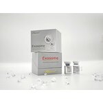 Exosomes Manufacturer - Stem Cell Wrinkle Reduction Skin Repair Hair Regrowth Acne