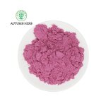 Fruit Extract Manufacturer - Raspberry Powder Autumn Herb Food Grade Drum Packaging