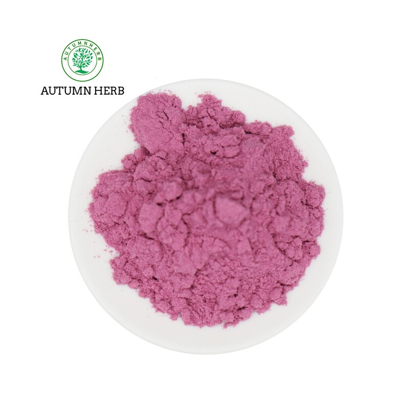 Fruit Extract Manufacturer - Blueberry Powder Autumn Herb Blueberry Fruit Extract