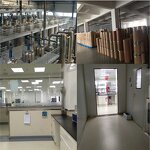 Peptide Manufacturer - Copper Peptide Ghk-Cu Best Price