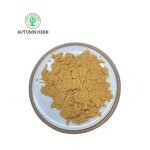 Fruit Extract Manufacturer - Monk Fruit Extract Powder Autumn Herb Food Grade Drum