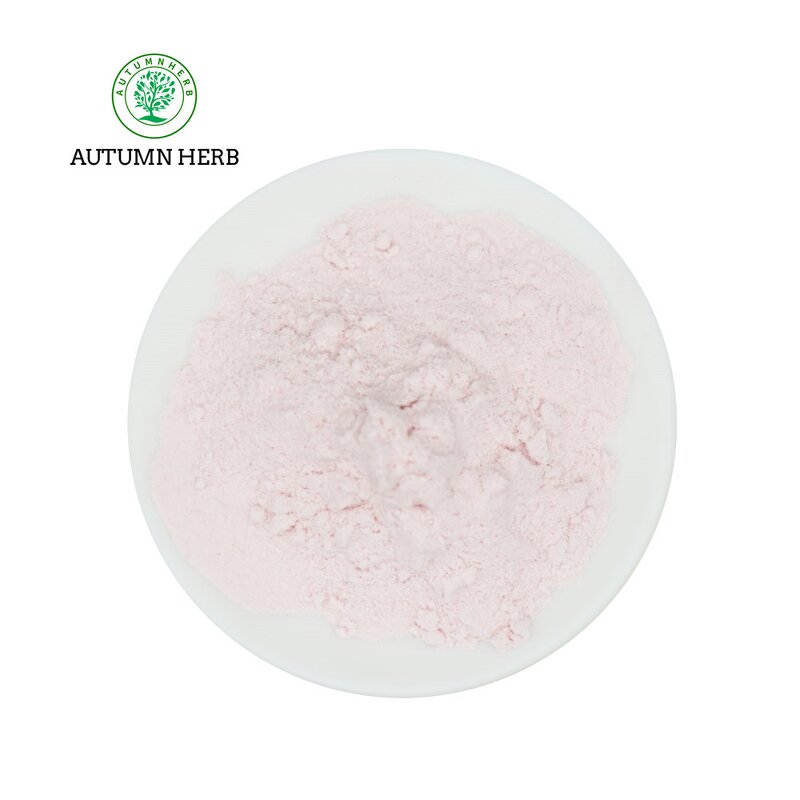 Fruit Extract Manufacturer - Peaches Fruit Powder Autumn Herb Fruit Powder