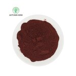 Fruit Extract Manufacturer - Cranberry Fruit Extract Powder Autumn Herb Food Grade