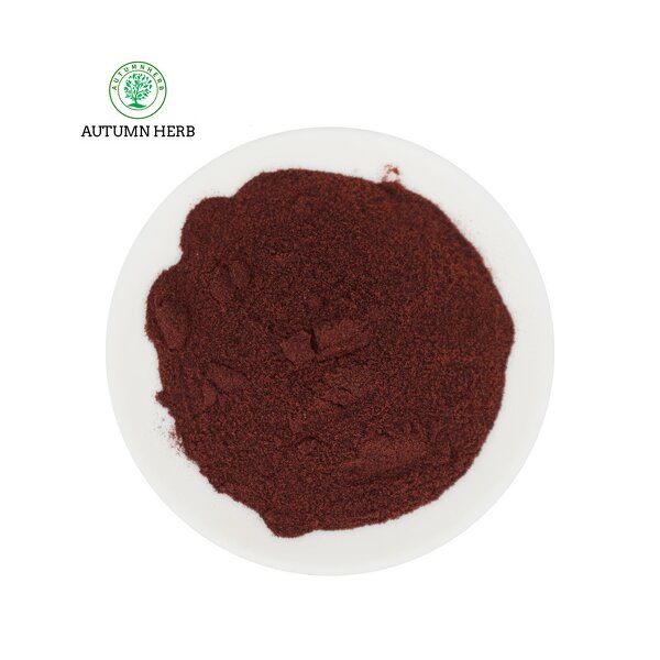 Fruit Extract Manufacturer - Cranberry Fruit Extract Powder Autumn Herb Food Grade