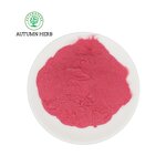 Fruit Extract Manufacturer - Acai Berry Powder Autumn Herb Natural Fruit Juice Powder