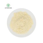 Fruit Extract Manufacturer - Pineapple Fruit Powder Autumn Herb Natural Bulk