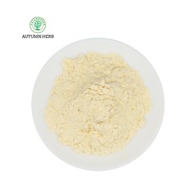 Fruit Extract Manufacturer - Pineapple Fruit Powder Autumn Herb Natural Bulk