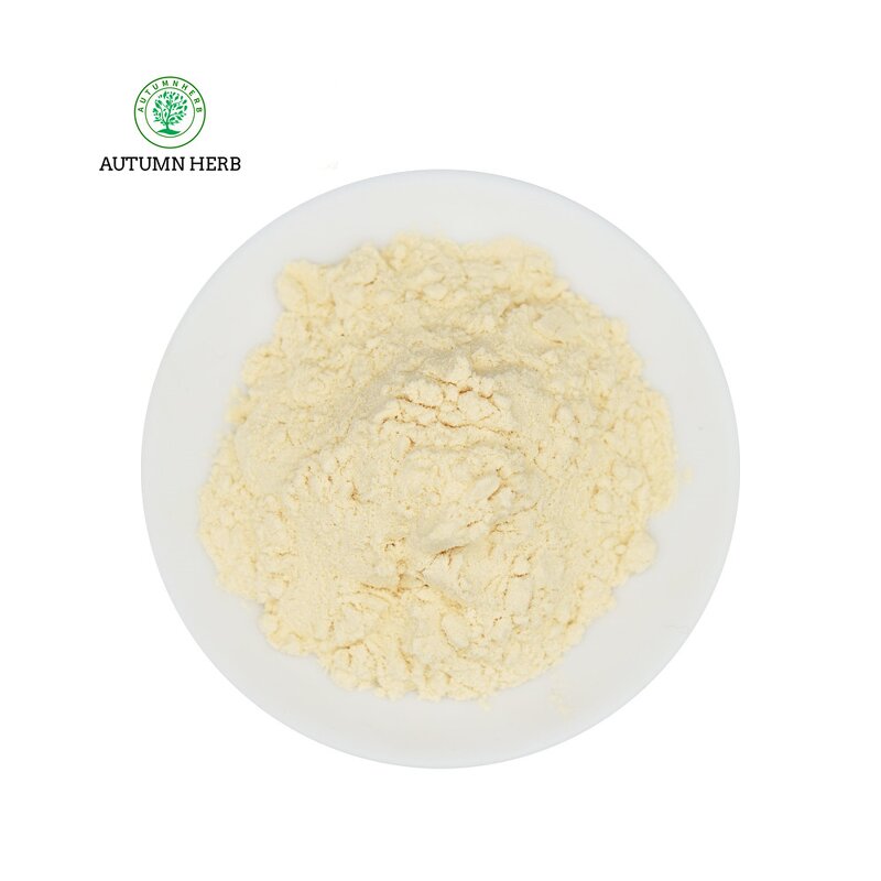 Fruit Extract Manufacturer - Pineapple Fruit Powder Autumn Herb Natural Bulk