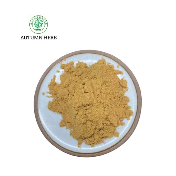 Fruit Extract Manufacturer - Goji Berry Extract Powder Autumn Herb Wolfberry