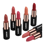 Lipstick Manufacturer - 24-Color Custom Logo Herbal Mineral Matte White Square Tube