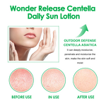 Sunscreen Cream Manufacturer - 60g SPF50+ Centella Asiatica UV Protection Oil-Control Facial Gel