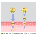 Serum Manufacturer - Bakuchiol Hyaluronic Acid Korean Revitalizing Whitening Wrinkle Reducing