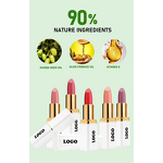 Lipstick Manufacturer - 24-Color Custom Logo Herbal Mineral Matte White Square Tube