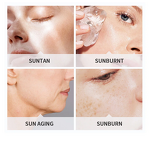 Sunscreen Cream Manufacturer - SPF50 Camellia Oil-Control Whitening Anti-Aging Facial Body