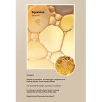 Facial Serum Manufacturer - 30ml Niacinamide Anti-Oxidant Light Spot Brightening Yellow Removal