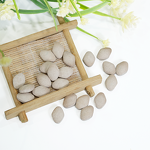 Herbal Pills Manufacturer - 2025 Best-selling Natural Health Supplement Factory Wholesale