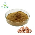 Shiitake Mushroom Extract Powder Manufacturer - Factory Supply 10-50% Polysaccharide