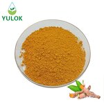 Turmeric Root Extract Powder Manufacturer - High Quality Pure 95% Curcumin