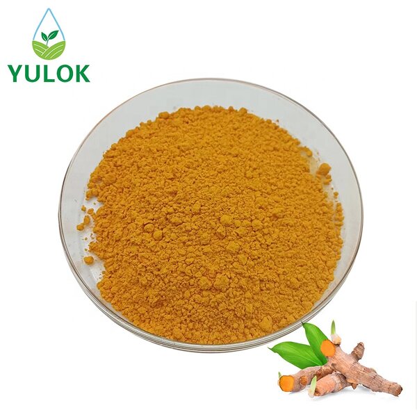 Turmeric Root Extract Powder Manufacturer - High Quality Pure 95% Curcumin