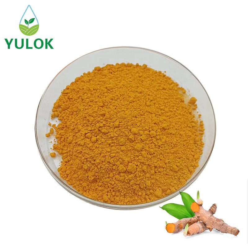 Turmeric Root Extract Powder Manufacturer - High Quality Pure 95% Curcumin