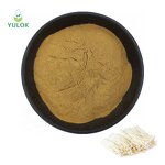 Enoki Mushroom Extract Powder Manufacturer - Manufacturer Well Made Organic 100% Pure
