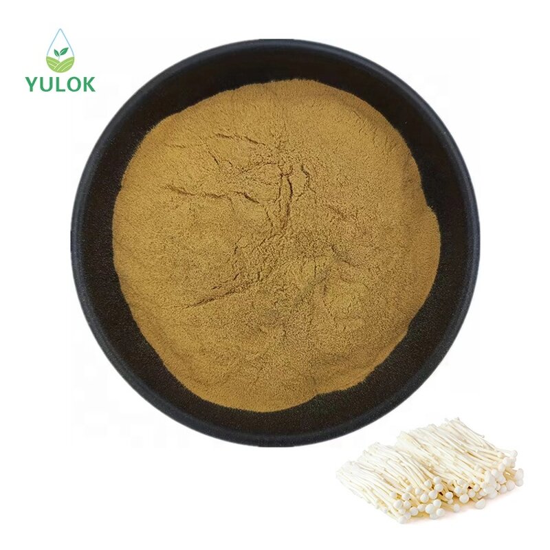Enoki Mushroom Extract Powder Manufacturer - Manufacturer Well Made Organic 100% Pure