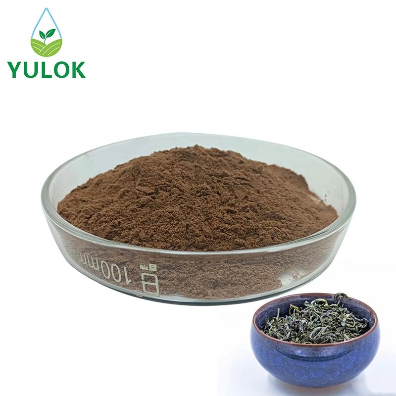 Green Tea Extract Powder Manufacturer - Supply 10%-98% Polyphenols Leaf Extract
