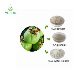 Garcinia Cambogia Extract Powder Manufacturer - Factory Supply 50% 60% HCA for Weight Loss