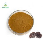 Maitake Mushroom Extract Powder Manufacturer - Wholesale 30% Polysaccharide