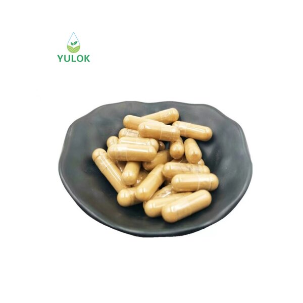 Tribulus Terrestris Extract Capsules Manufacturer - Pure Natural 500mg for Men's Health