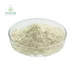 Silk Amino Acid Powder Manufacturer - Factory Supply Cosmetic Grade Pure Organic